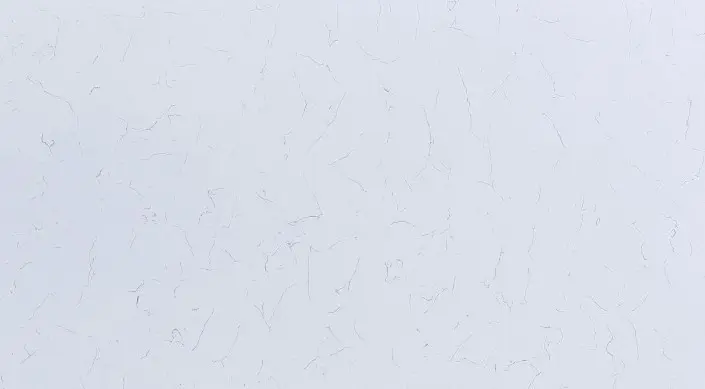 Carrara Verna Close Up