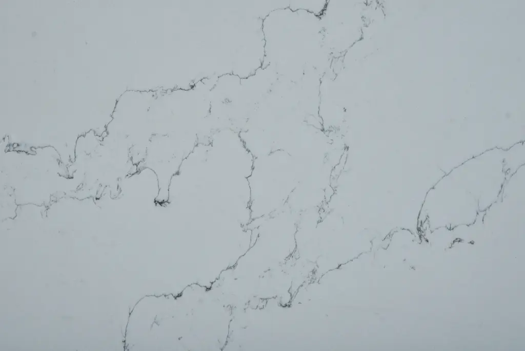 Copy of Diana Silver Closeup