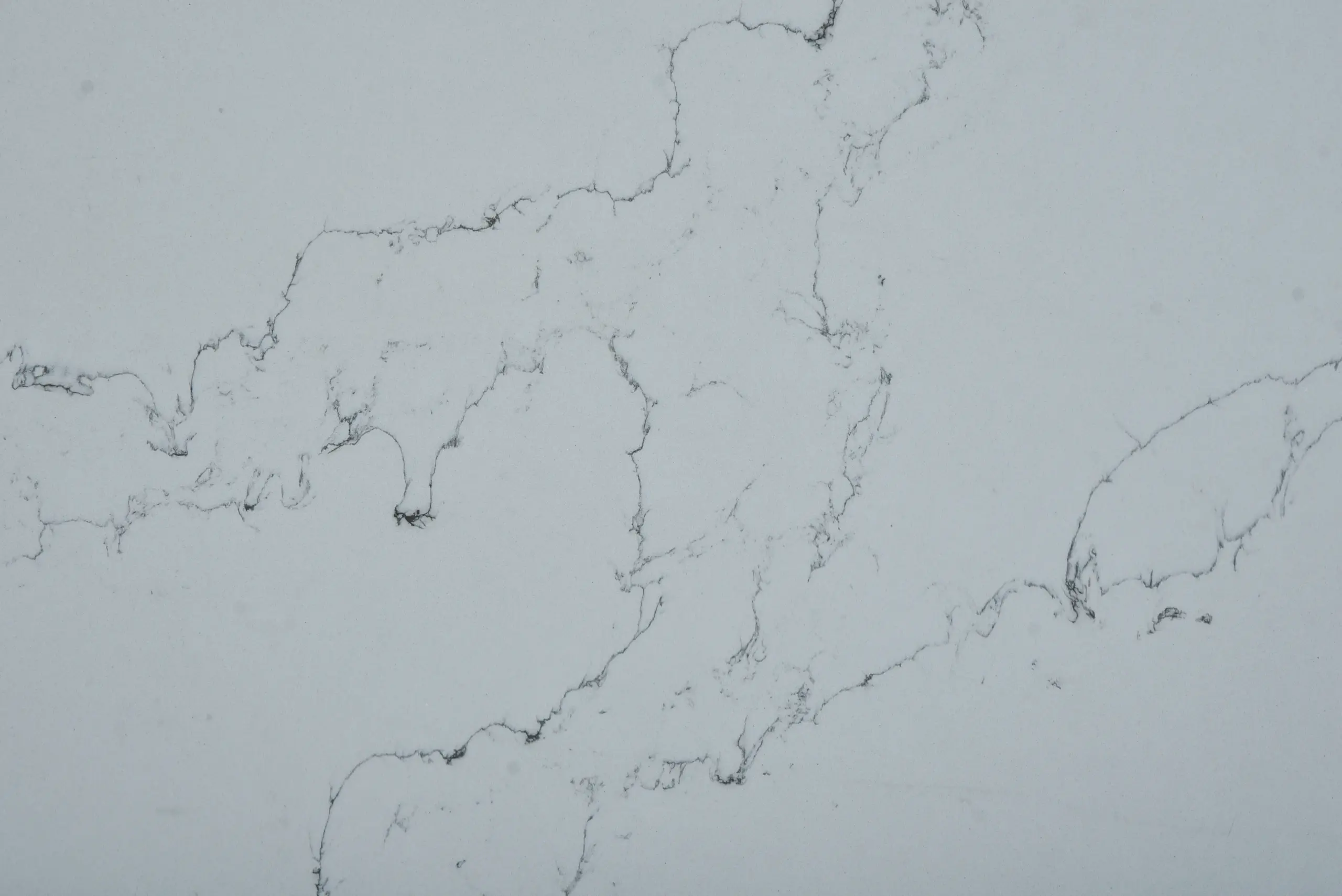 Calacatta Diana Silver