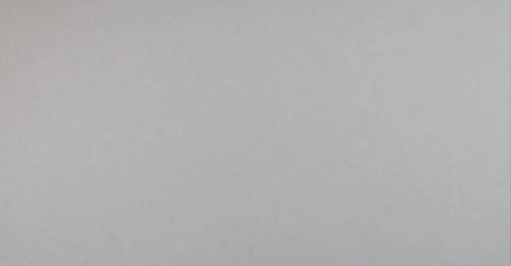 Copy of Dior White