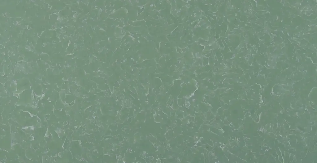 NILGIRI GREEN full slab